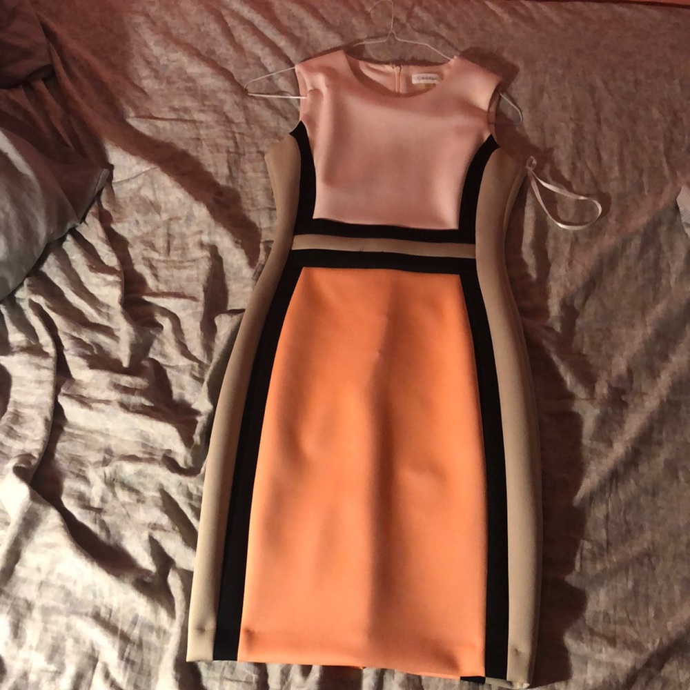 Calvin Klein Multi Colored Dress